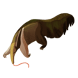 Anteater