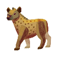 Hyena