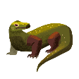 Komodo Dragon