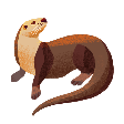 Otter