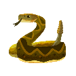 Rattlesnake