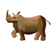Rhinoceros