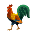 Rooster