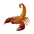 Scorpion