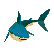 Shark