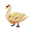 Swan